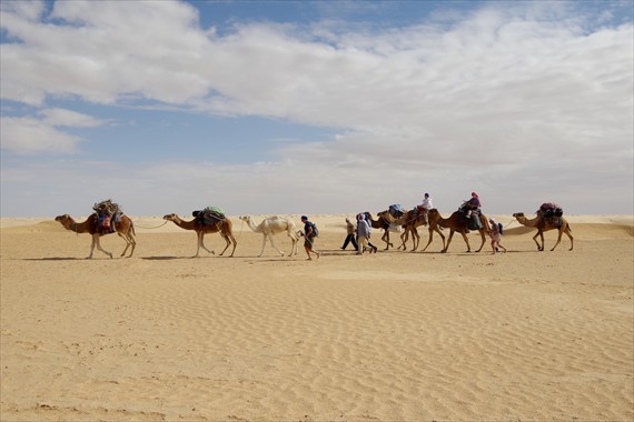 Sabria Voyages Tunisie