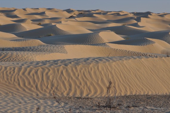 Sabria Voyages Tunisie