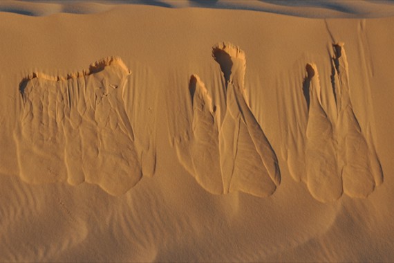 Sabria Voyages Tunisie