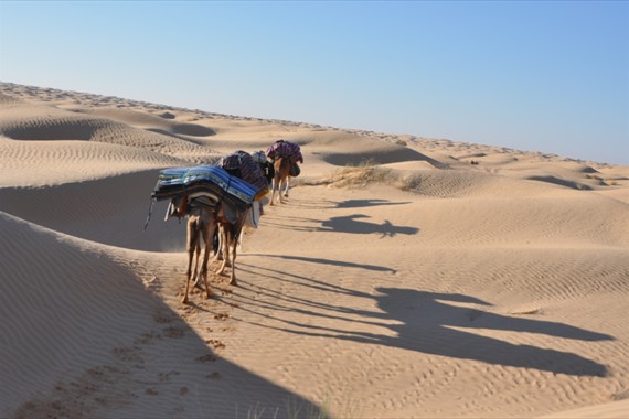 Sabria Voyages Tunisie