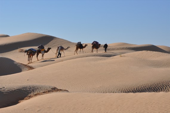 Sabria Voyages Tunisie