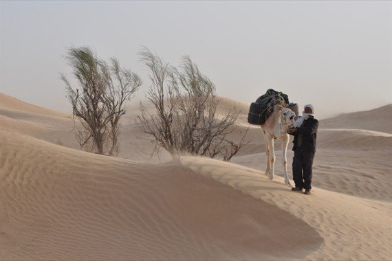 Sabria Voyages Tunisie