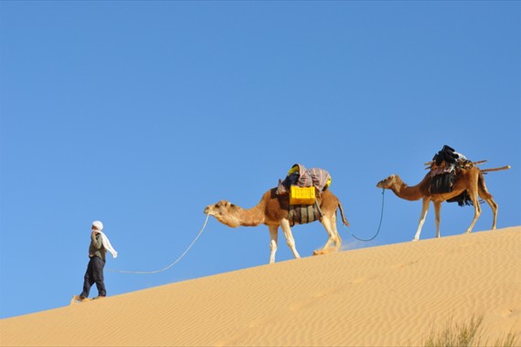 Sabria Voyages Tunisie