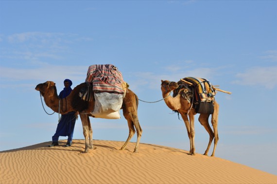 Sabria Voyages Tunisie